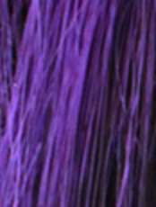 30" Boss Kids - Just Glam 3X Synthetic Braiding Hair