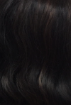 Zuri Sis Wig Sassy RC-H Boni