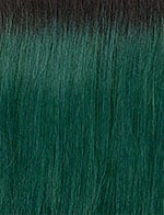 Sensationnel Cloud9 WhatLace HD Lace Wig - Darlene